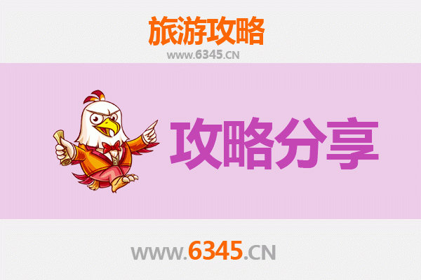涿鹿至湄洲岛旅游攻略：跟团与自由行深度对比